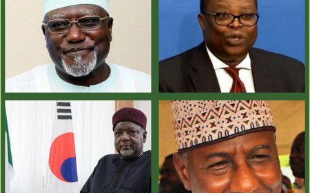 What You Should Know About New Nigerian Ambassadors to US, UK, France, Turkey Appointed By President Tinubu 