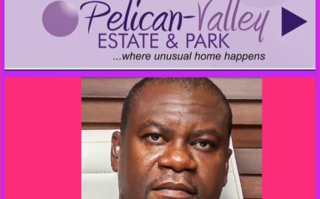 'Embrace Land Banking Today to Secure Your Financial Future', Pelican Estate CEO Advises Nigerians