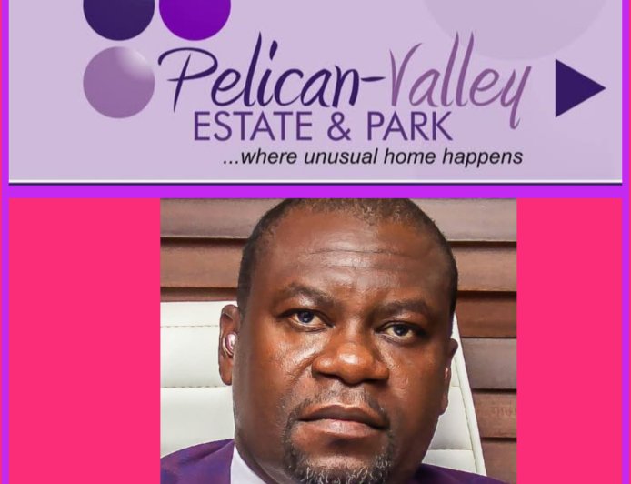 'Embrace Land Banking Today to Secure Your Financial Future', Pelican Estate CEO Advises Nigerians