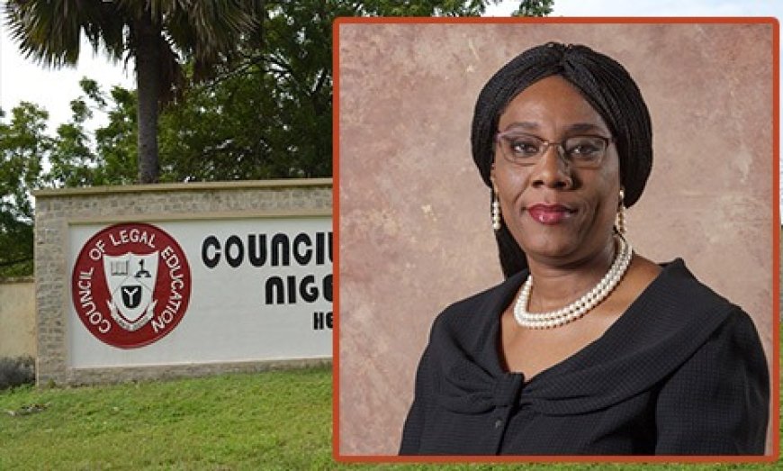 Tinubu Breaks 64-Year-Old Barrier, Appoints Olugbemisola Odusote First Female DG The Nigerian Law School