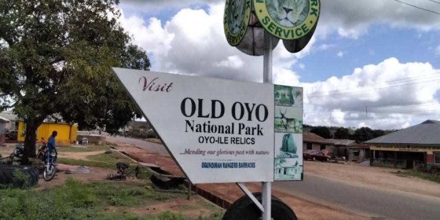 Many Feared Dead As Gunmen Attack National Park Service Oyo