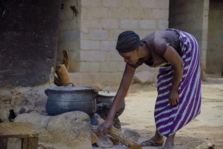 Firewood Cooking Puts Nigerian Children at Risk of Low IQ, Experts Warn