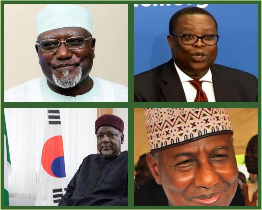 What You Should Know About New Nigerian Ambassadors to US, UK, France, Turkey Appointed By President Tinubu 