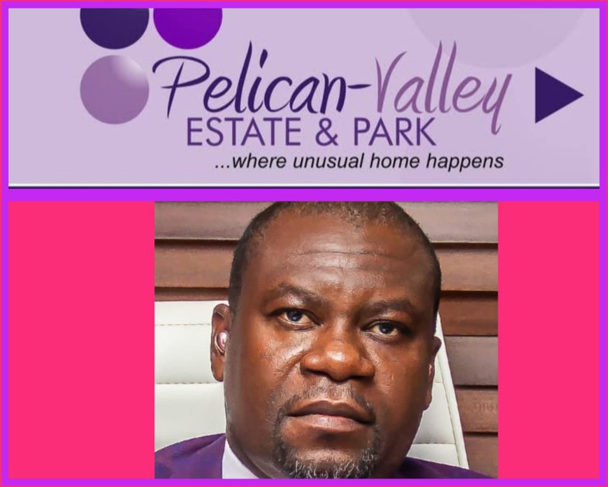 'Embrace Land Banking Today to Secure Your Financial Future', Pelican Estate CEO Advises Nigerians