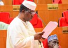 Nigeria Lacks Infrastructure for Compulsory Real-Time Electronic Transmission of Election Results — Senate Leader