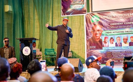 2027: Peter Obi Declares for ADC, Vows to Contest Presidency Regardless