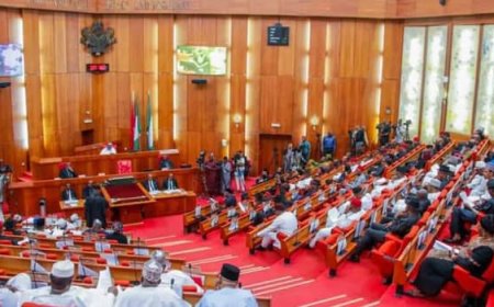 Tension Rises, Senate Queries As Tribunal Allegedly Spent N16 Million to Fumigate Office in 2025