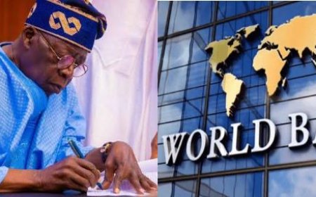 Nigeria’s World Bank Debt Rises to $18.7bn as IDA Exposure Jumps by $1.9bn Under Tinubu - Report