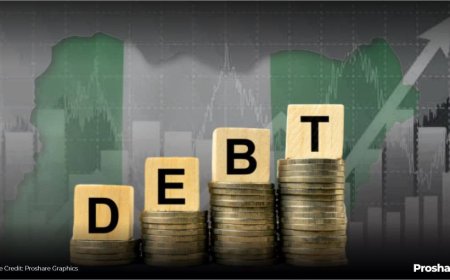 Nigeria’s Public Debt Rises to N153.29trn as Borrowing Pressures Persist — DMO