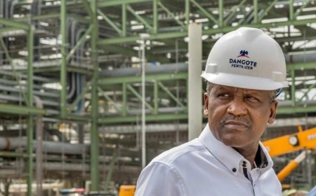 In The Next Four, Five Months, Nigerians to Buy Shares in Refinery - Dangote