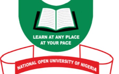 'Restore Law Programmes at NOUN, Infuse AI in Study Ecosystem' Obasanjo Tells University Leadership