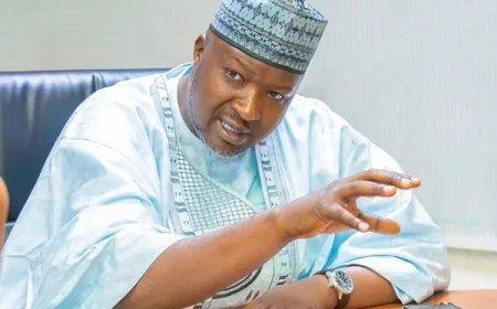 Senate to Tinubu: Sack CAC Boss Hussaini Magaji