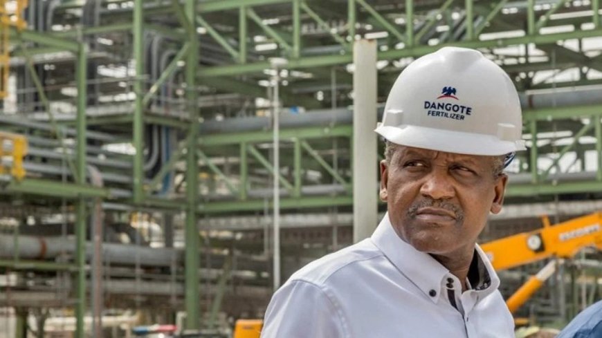 In The Next Four, Five Months, Nigerians to Buy Shares in Refinery - Dangote